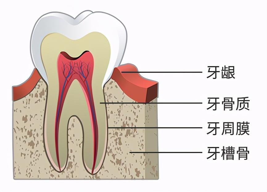 最新医院感染管理制度,最新医院感染管理制度，构建安全医疗环境的基石