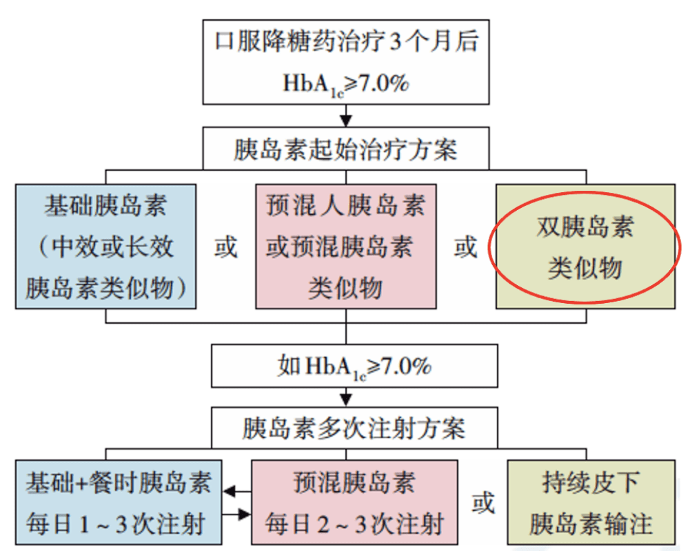 新昌大明市最新消息,新昌大明市最新消息全面解读