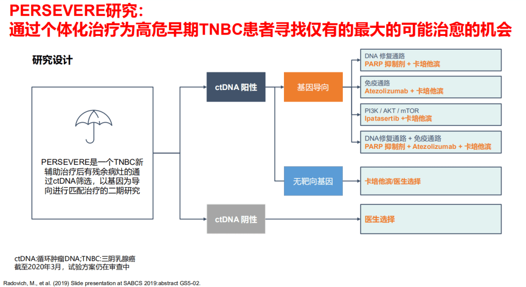 2025新澳精准资料免费提供,探索未来之路，关于新澳精准资料的免费提供与深度解析（2025展望）