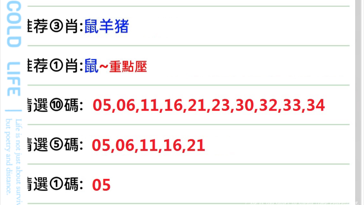 2025年2月4日 第10页