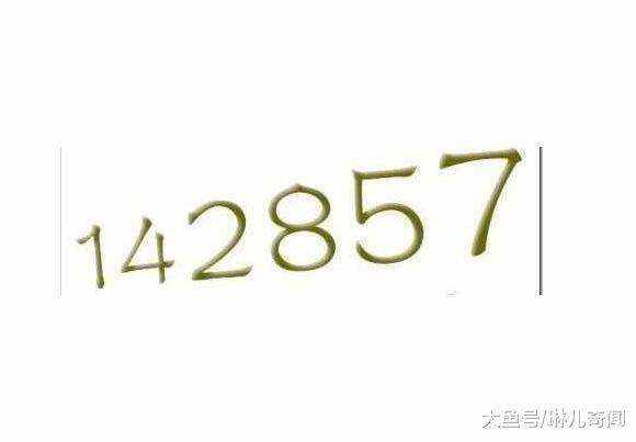 7777788888一肖一码,探索数字世界中的神秘密码，77777与88888一肖一码的秘密