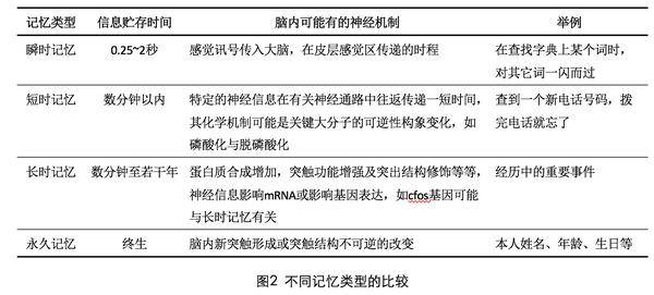 2025正版资料免费提拱,探索未来，正版资料的免费共享与知识普及的新篇章