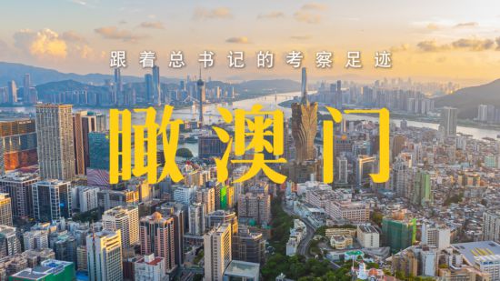 2025年澳门的资料,澳门未来展望，2025年的新面貌与机遇