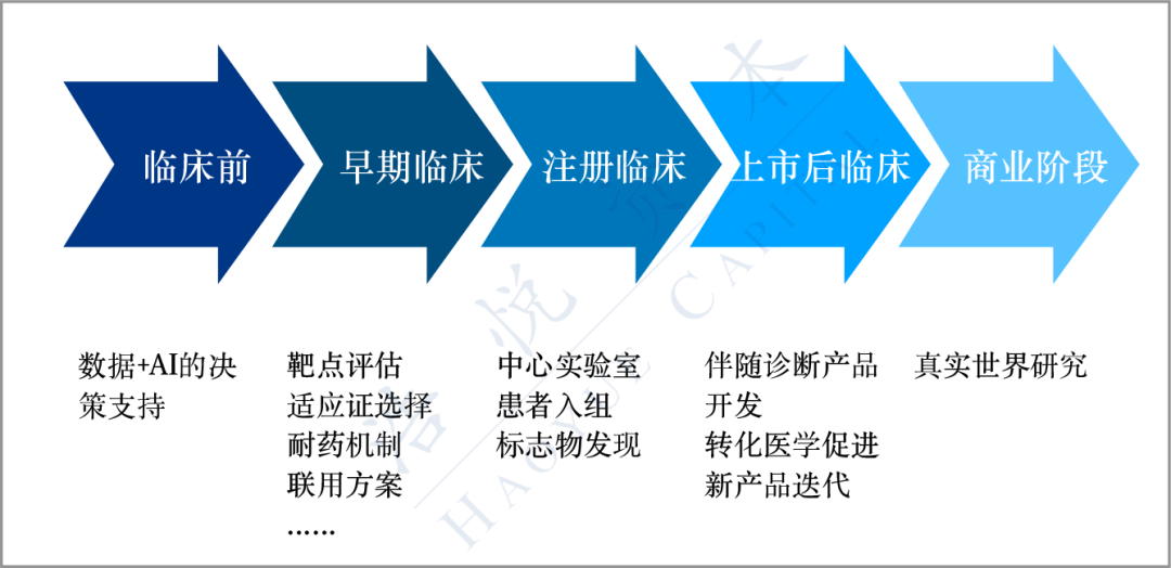 二四六管家婆期期准资料,二四六管家婆期期准资料，探索精准数据的魅力