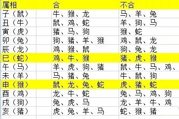 2025年12生肖49码图,揭秘2025年十二生肖与49码图的神秘联系