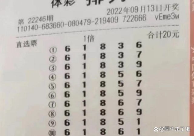 777788888新奥门开奖,探索新奥门开奖的奥秘——数字组合7777与8888的魅力