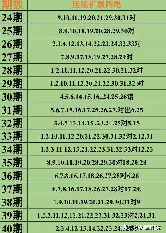 新澳资料免费长期公开064期 17-19-25-29-31-45Z：13,新澳资料免费长期公开第064期，揭秘数字背后的秘密故事