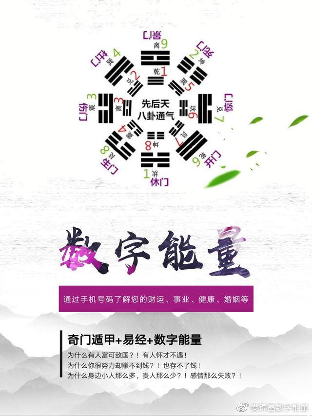 8383848484管家婆中特005期 21-32-14-08-37-48T：03,探索数字世界的奥秘，管家婆中的神秘数字组合 8383848484与特选期数005