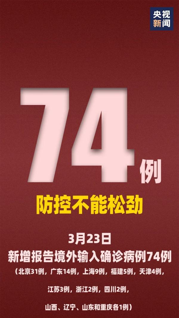 2004新澳门天天开好彩101期 13-31-35-38-40-41Y：21,探索彩票奥秘，2004新澳门天天开好彩101期的独特魅力与数字解读