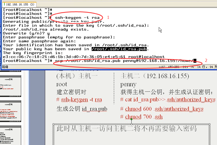 澳门三肖三码精准100%公司认证039期 03-08-12-15-16-39C：27,澳门三肖三码精准预测，揭秘一家认证公司的真实内幕（第039期）