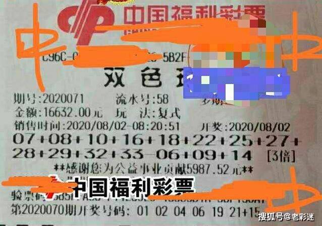 管家婆2025正版资料大全063期 02-06-11-14-32-46C：22,探索管家婆2025正版资料大全，揭秘第063期的神秘数字与策略解读